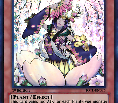 Talaya, Princess of Cherry Blossoms [JOTL-EN036] Super Rare Hot on Sale